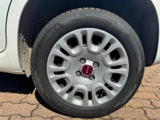 FIAT Panda usata 17