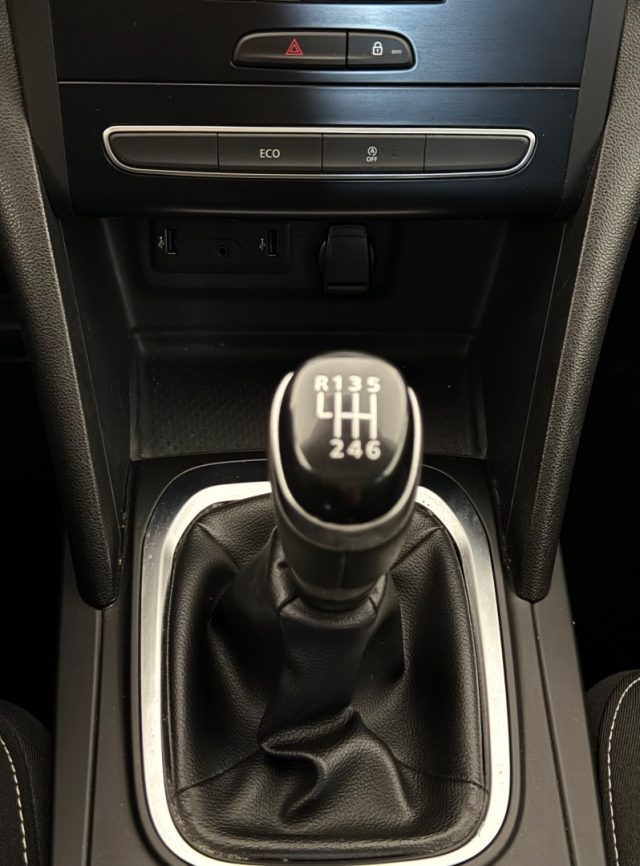 RENAULT Megane usata 14