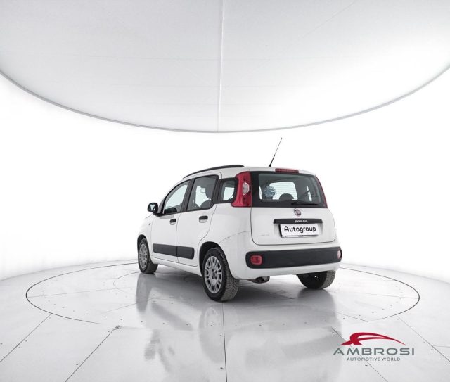 FIAT Panda usata 3