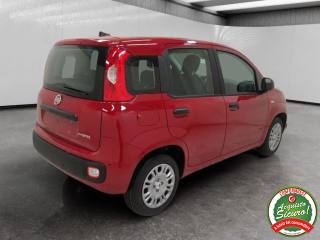 FIAT Panda usata, con Antifurto