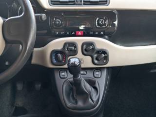 FIAT Panda usata, con Controllo automatico clima