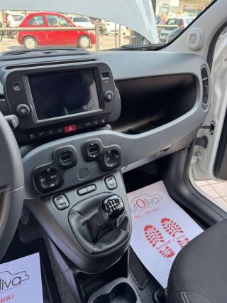 FIAT Panda usata, con Servosterzo