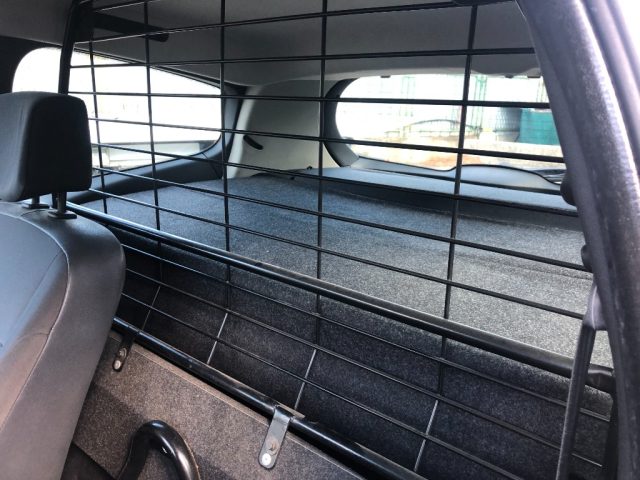 RENAULT Clio usata 10