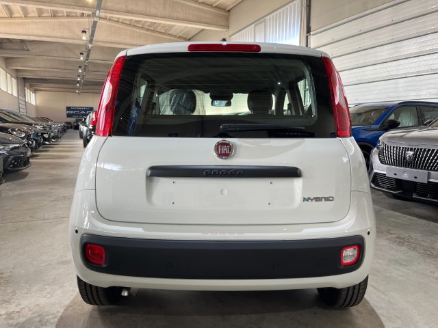 FIAT Panda usata, con Antifurto