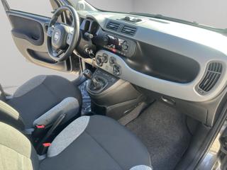FIAT Panda usata, con Cronologia tagliandi