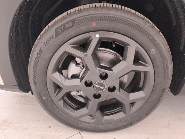 BYD Dolphin Surf usata, con Climatizzatore
