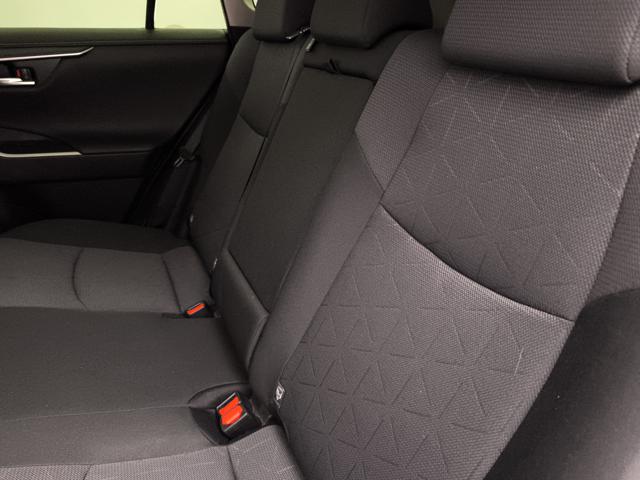 TOYOTA RAV 4 usata, con Fendinebbia