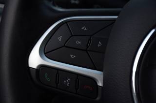 JEEP Compass usata, con Park Distance Control