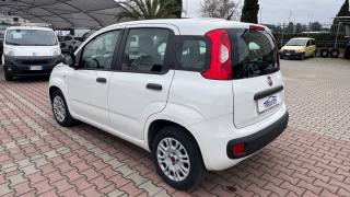 FIAT New Panda usata, con Boardcomputer