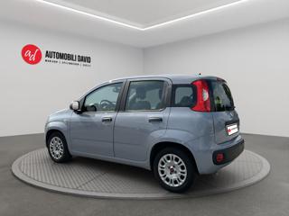 FIAT Panda usata, con Airbag Passeggero