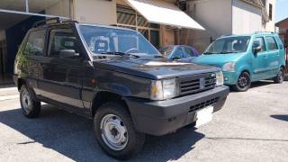 FIAT Panda usata, con Trazione integrale