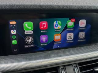 ALFA ROMEO Stelvio usata, con Fendinebbia