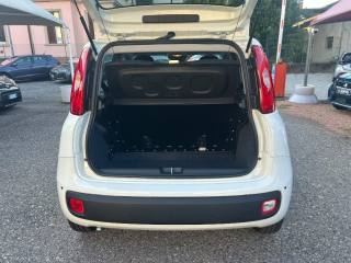 FIAT Panda usata, con Servosterzo