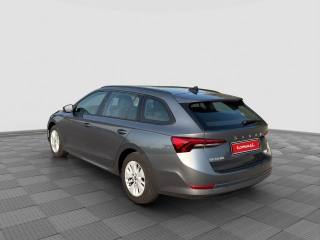 SKODA Octavia usata 2