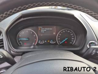 FORD EcoSport usata, con Antifurto
