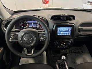 JEEP Renegade usata, con Controllo trazione
