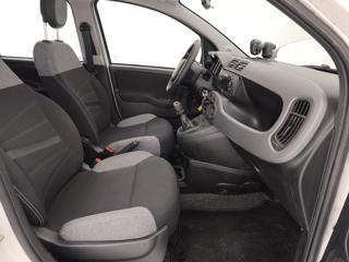 FIAT Panda usata 24