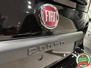 FIAT Panda usata, con Fendinebbia