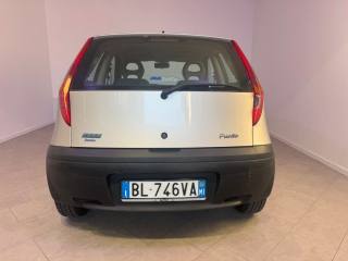 FIAT Punto usata 6