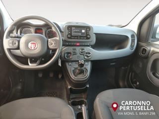 FIAT Panda usata, con Servosterzo