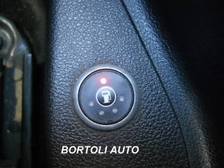 FORD Focus usata, con Cronologia tagliandi