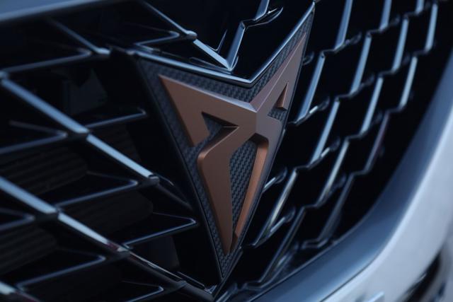 CUPRA Formentor usata, con Kit antipanne