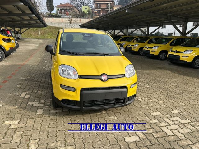 FIAT Panda usata, con Antifurto