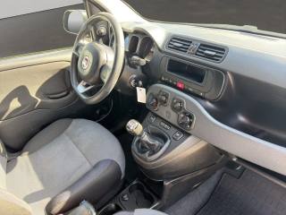 FIAT Panda usata 9