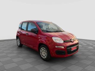 FIAT Pandina usata 5