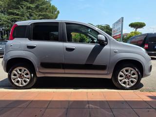 FIAT Panda usata 18