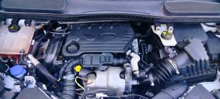 FORD Transit Connect usata 15