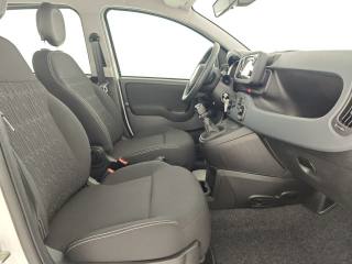 FIAT Panda usata, con Sensori di parcheggio posteriori