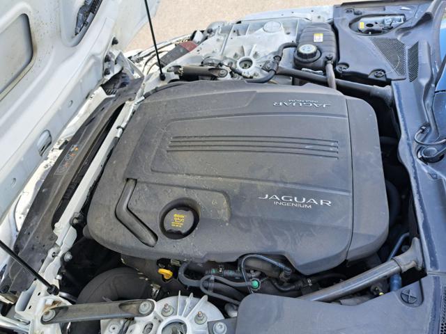 JAGUAR F-Type usata 42