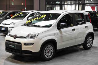 FIAT Panda usata 21