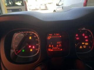 FIAT Panda usata, con Airbag testa