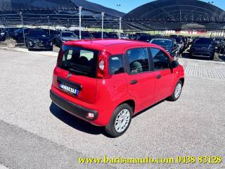 FIAT Panda usata, con Airbag Passeggero