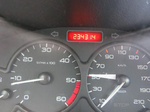 PEUGEOT 206 usata 13