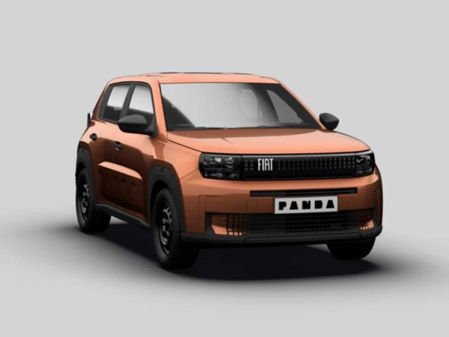 FIAT Grande Panda usata, con Climatizzatore