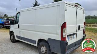 FIAT Ducato usata, con Servosterzo