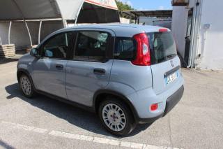 FIAT Panda usata, con Bluetooth