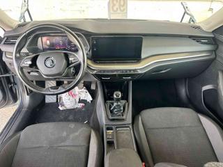 SKODA Octavia usata, con Controllo trazione