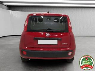 FIAT Panda usata, con Chiusura centralizzata