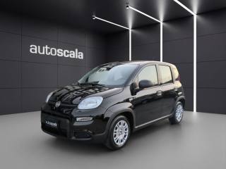 FIAT Panda 1.0 FireFly S&S Hybrid Pandina