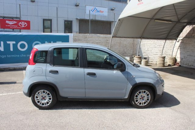 FIAT Panda usata 16