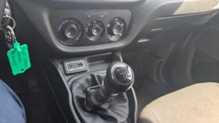 FIAT Doblo usata 19