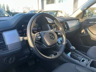 SKODA Kodiaq usata, con Cerchi in lega