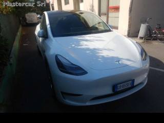 TESLA Model Y usata 4