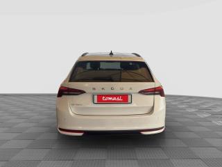 SKODA Octavia usata 4