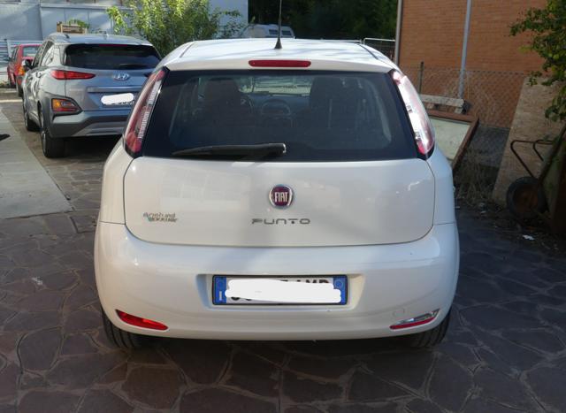 FIAT Punto usata, con Alzacristalli elettrici