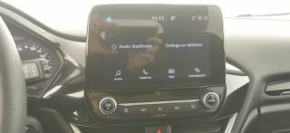 FORD Fiesta usata 61